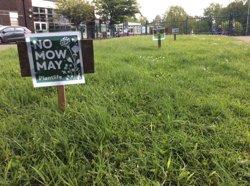 No Mow Way